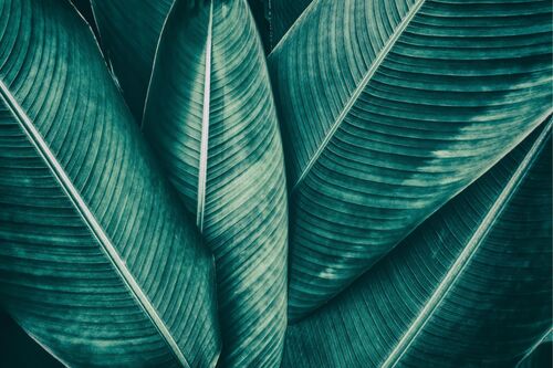 EPM Office Administrator